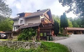 Fantastic Apartment Brglez